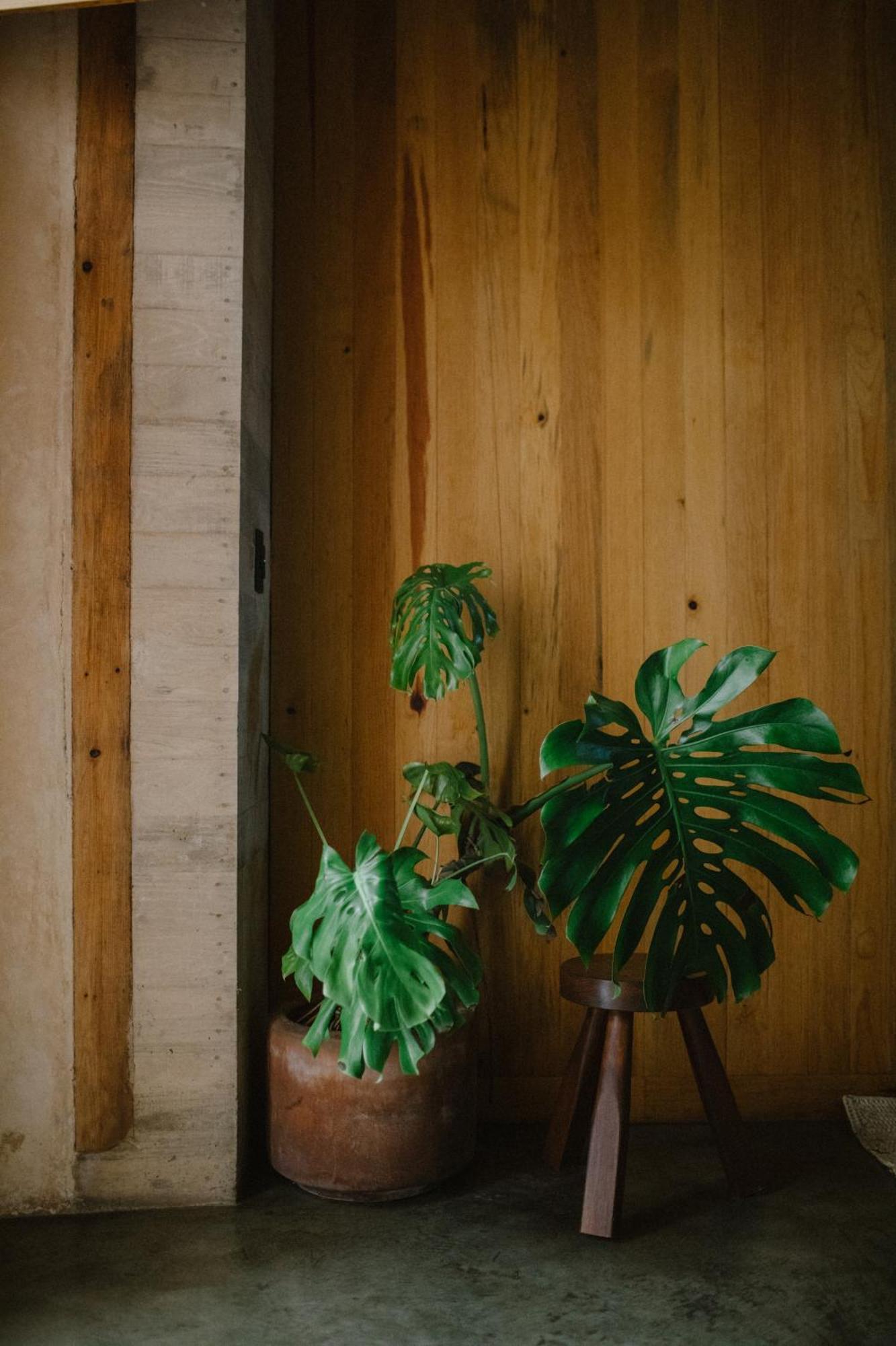 Hotel Escondido Oaxaca, A Member Of Design Hotels Eksteriør bilde